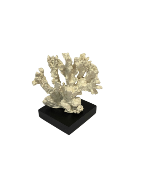 Escultura Coral Vivo